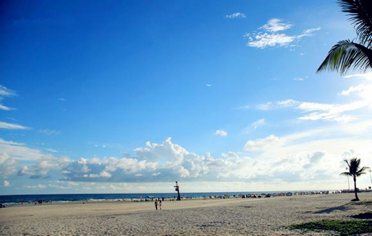 �������ލu�������V������������