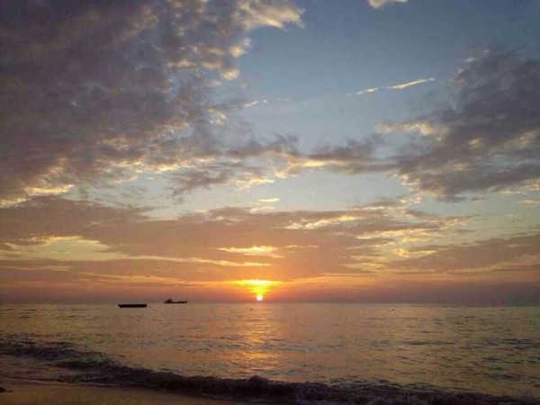 �������������ލu���V������������