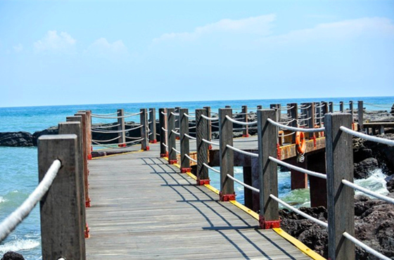 �������������ލu���V������������