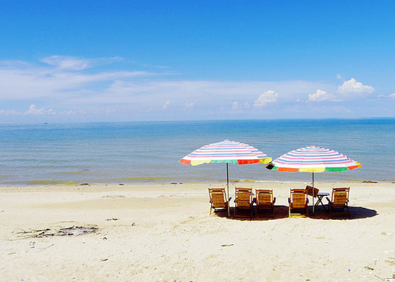 �������Σ����ލu���V������������