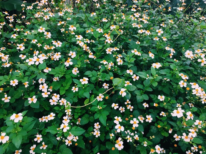 ���ލu�������������V������������