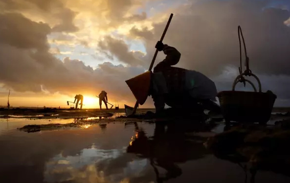 �����������V������������