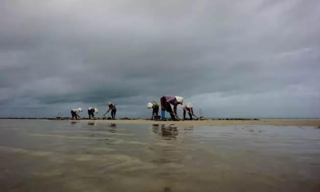 �����������V������������