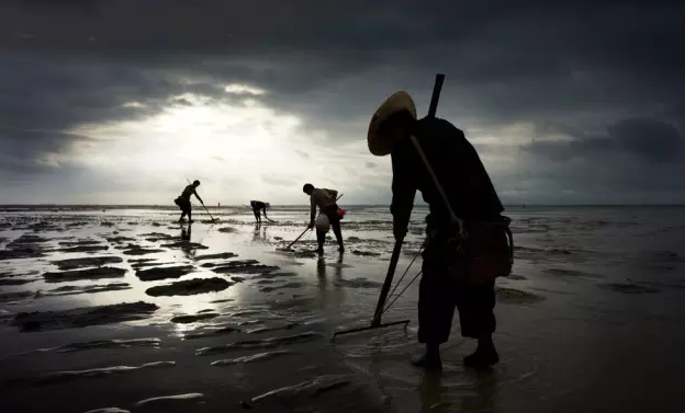 �����������V������������