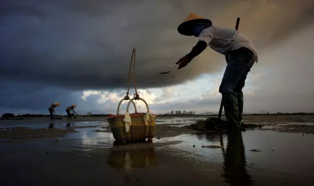 �����������V������������