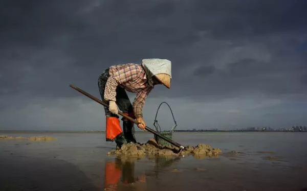 �����������V������������