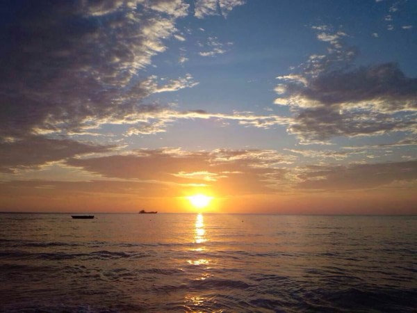 �����������V������������