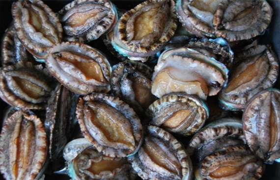 ���������r���V������������