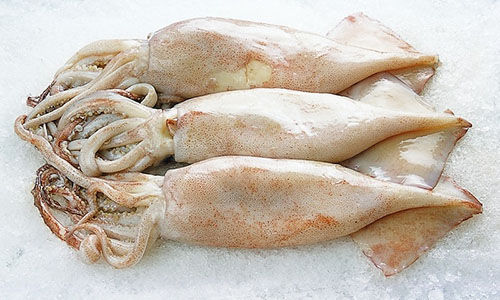 ���������r���V������������