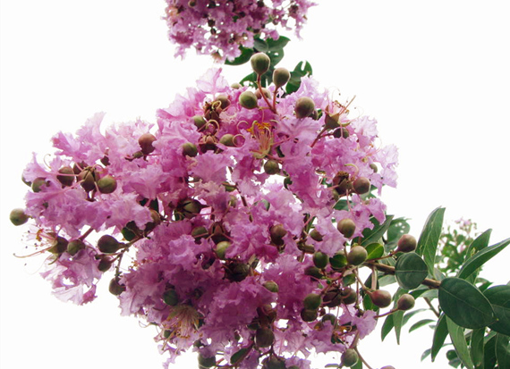 �������Σ��V������������