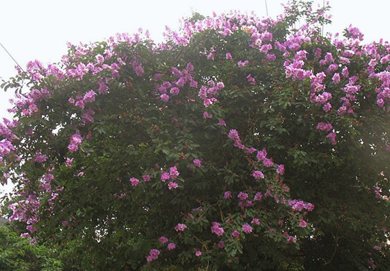 �������Σ��V������������