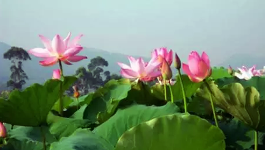 �������Σ��V������������