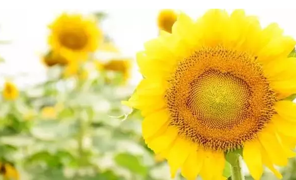 �����������V������������