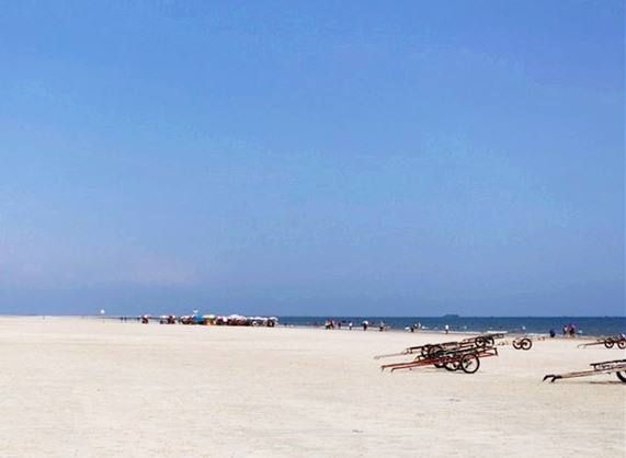 �����������V������������