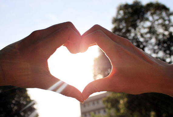 �����������V������������