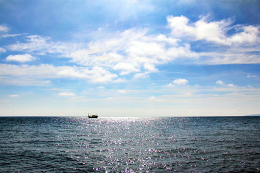 ���������������V������������