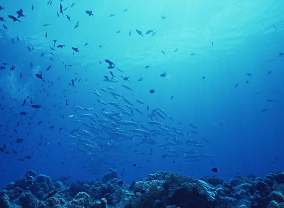 �����������գ��V������������