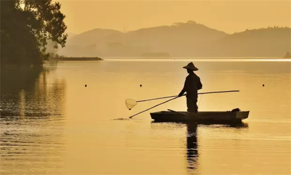 �����������V������������