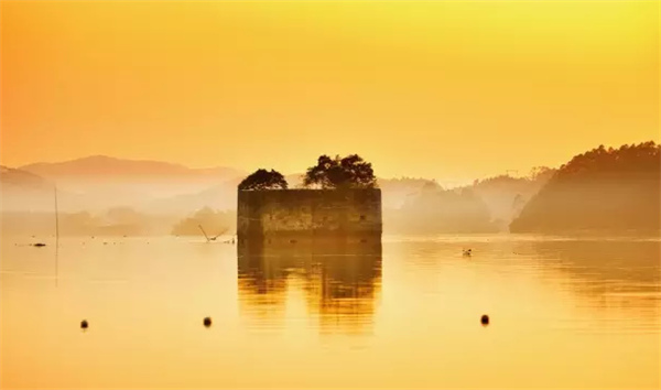 �����������V������������