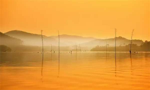 �������Σ��V������������