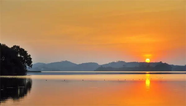 �����������V������������