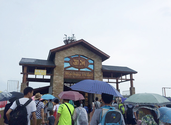 �����������V������������