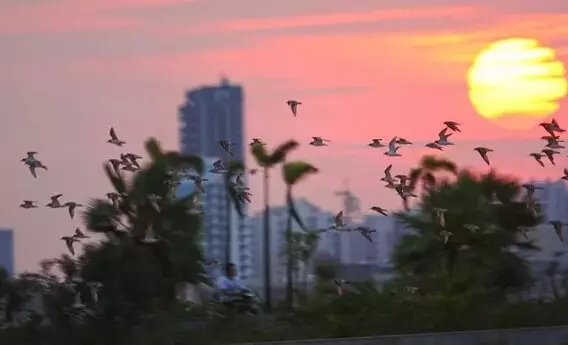 �����������V������������