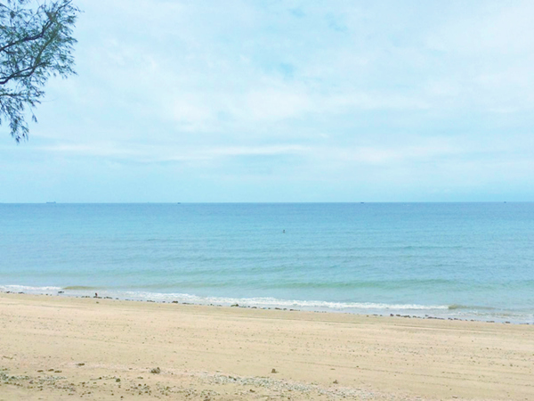 �V������������ ���ލu