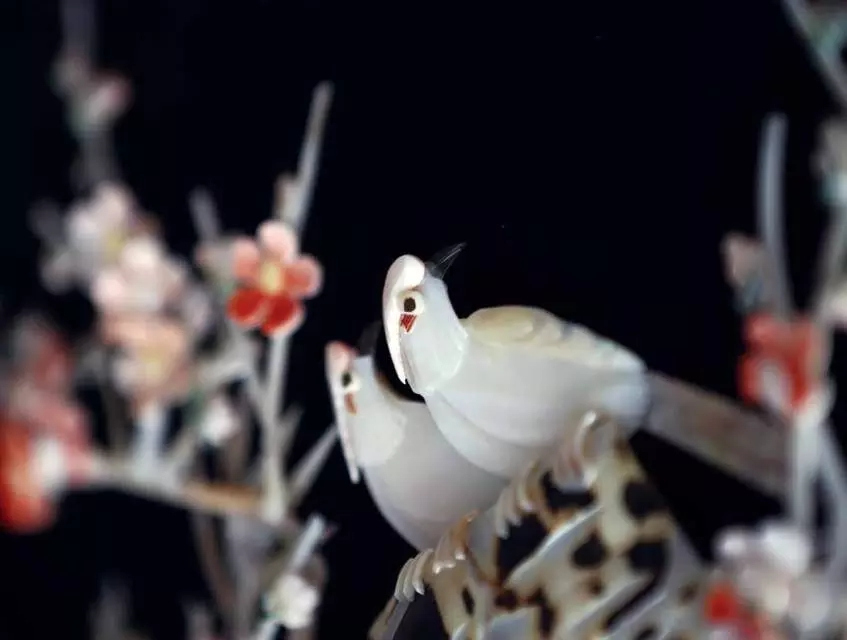 �����������V������������