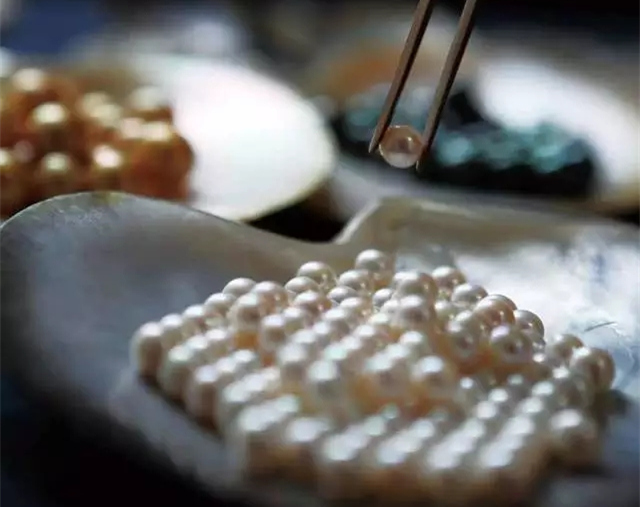 �����������V������������