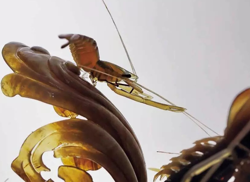 �����������V������������