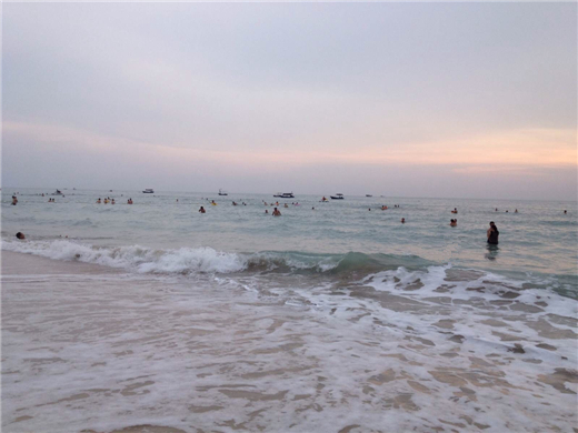 �����y�����V������������