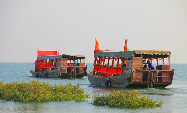 �����D�����V������������