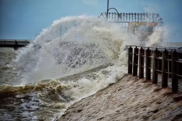 �������V������������