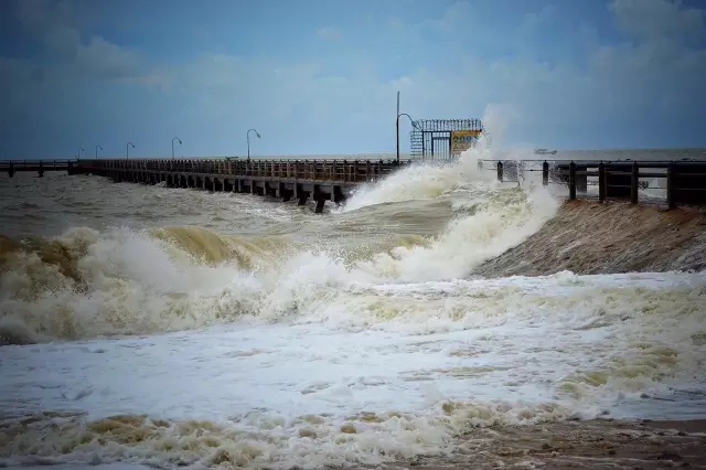 �������V������������