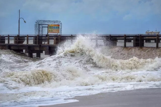 �������V������������