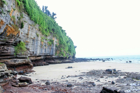 �������������ލu���V������������