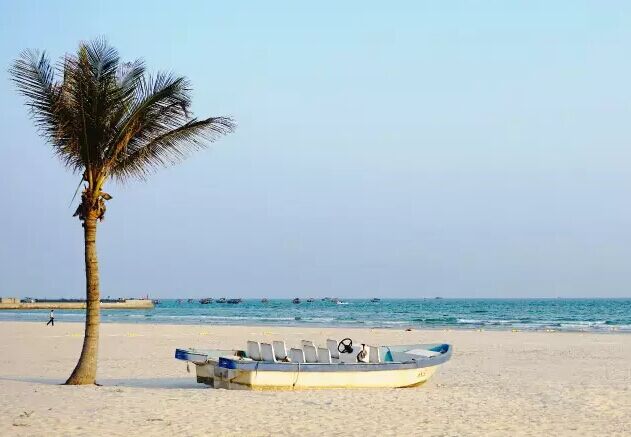 �������������ލu���V������������