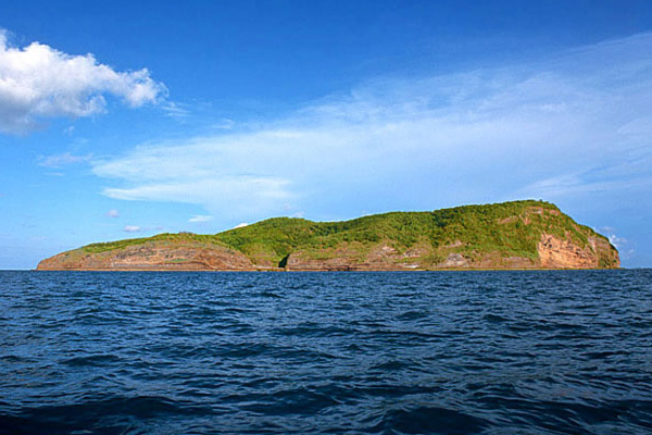 �������Σ��V������������