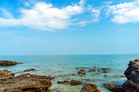 ���ލu�������V������������