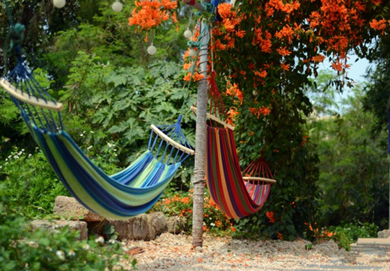 ���ލu�������V������������