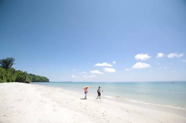 ���ލu�������V������������