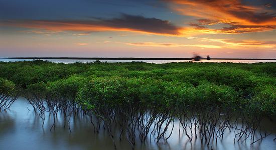 �����������V������������