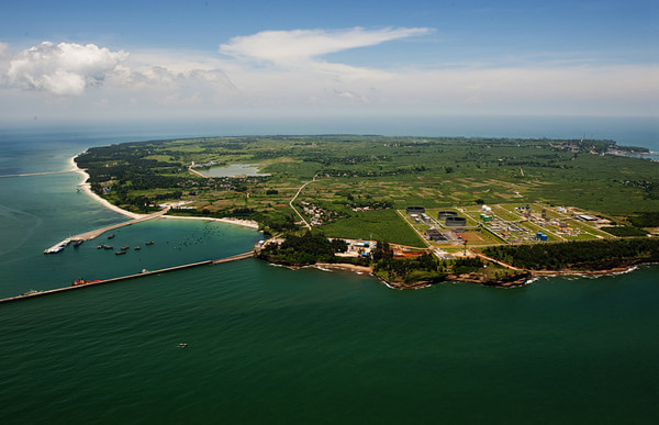 ���ލu�������V������������