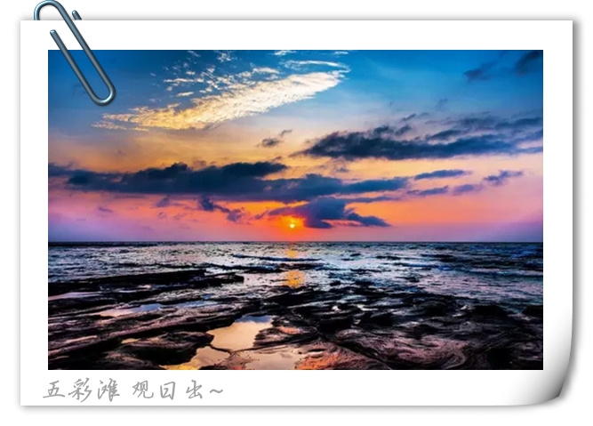 ���ލu�������V������������