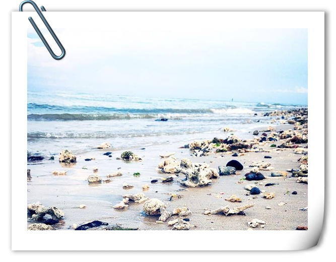 �������ލu���V������������