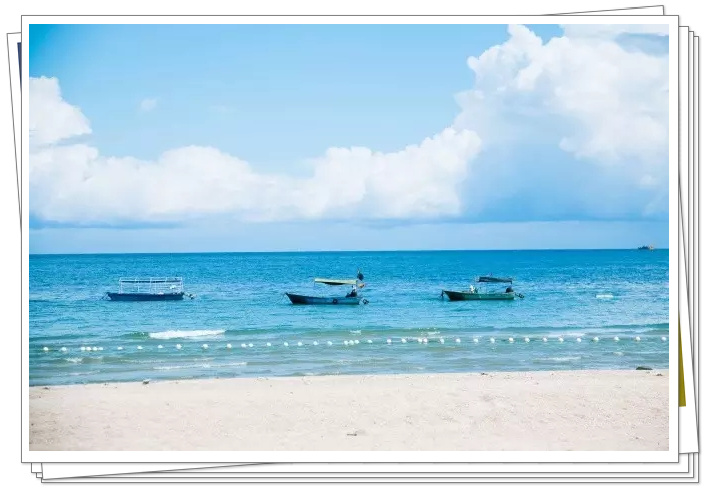 �������ލu���V������������