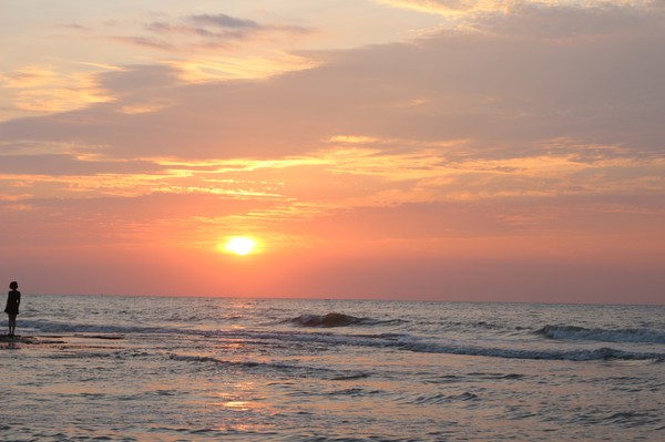 �����������V������������