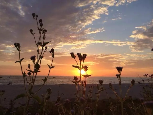 �����������V������������