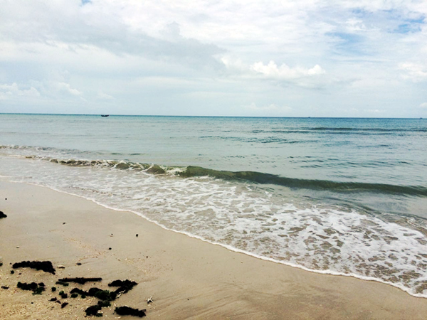 �������ލu���V������������